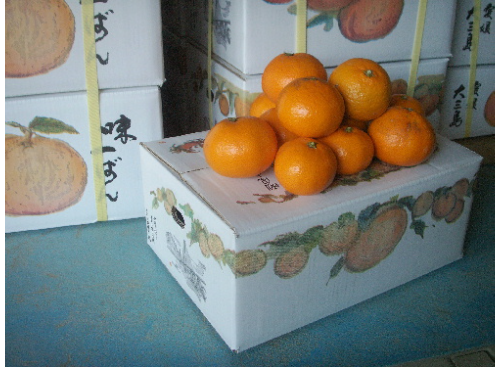 中早生 南柑号 小玉4kg 大三島しまなみ農園