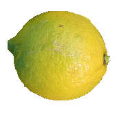 レモン
