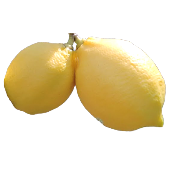 農薬不使用レモン